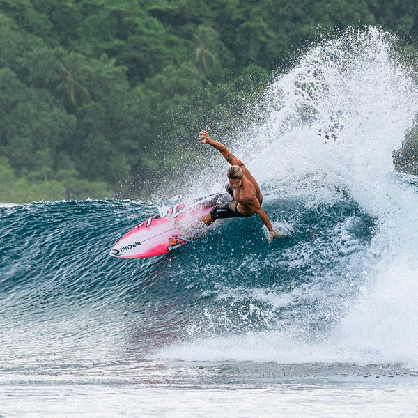 The Search Collection