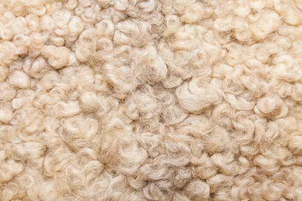 Plant Based Foam