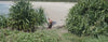 Mick Fanning campaign video